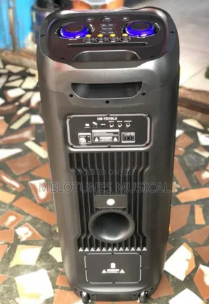 Dual 8 Inch Wireless Microphones RGB Light Speaker