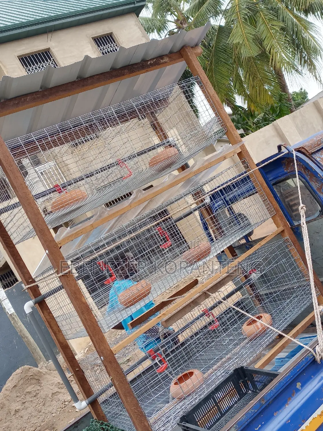 6 Unit Rabbit Cage