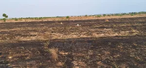 Get Fine Pillars on Plots at Prampram Beach Road