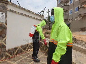 Gyinyase Fumigation With Cleantex