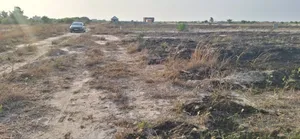 Rush for Well Demarcated Plots at Prampram