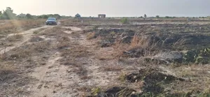 Rush for Well Demarcated Plots at Prampram
