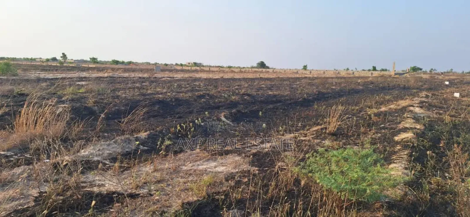 Own One of Demarcated Plots at Prampram