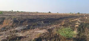 Own One of Demarcated Plots at Prampram