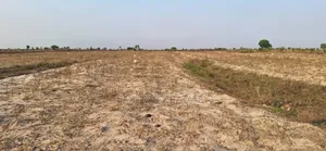 Own One of Demarcated Plots at Prampram