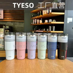 Tyeso Flask Tumbler Cup Mug