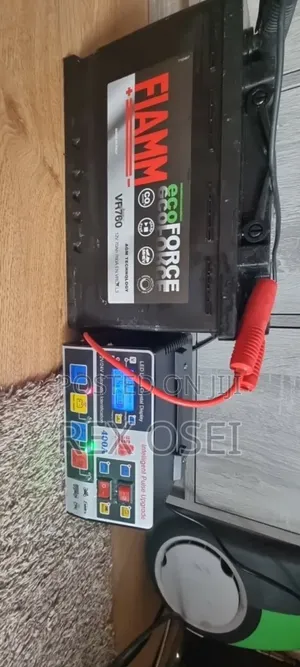 12v Fast Charging Car Vehicle Battery Charger
