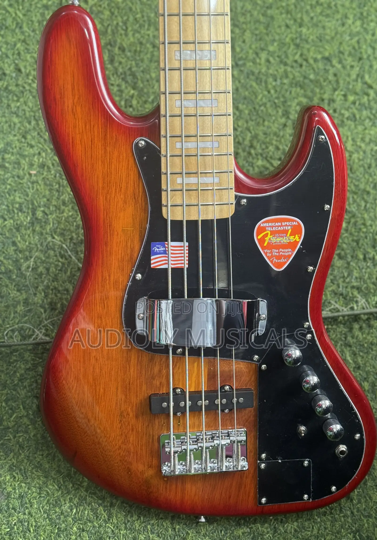 Active Bass Guitar