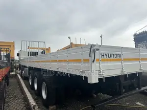 Hyundai Mighty 25 Ton