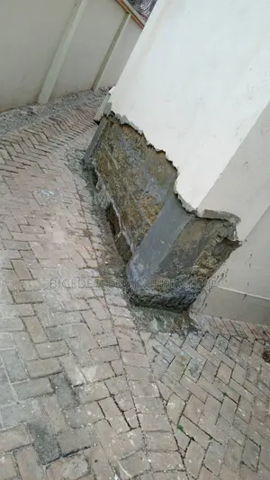 Dampness Treatment Experts