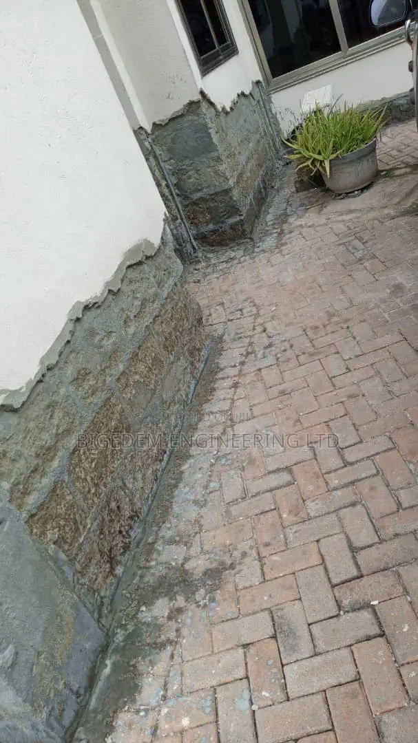 Dampness Treatment Experts