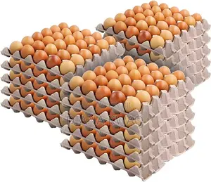 Fresh Farm Eggs for Sale