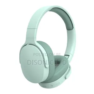 Earphone or Headphone