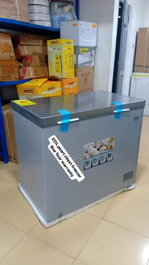 High Efficiency Pearl Chest Freezer 251l Pearl Freezer