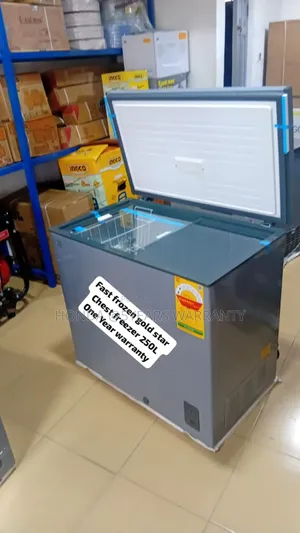 Fast Freezing 250l Gold Star Chest Freezer