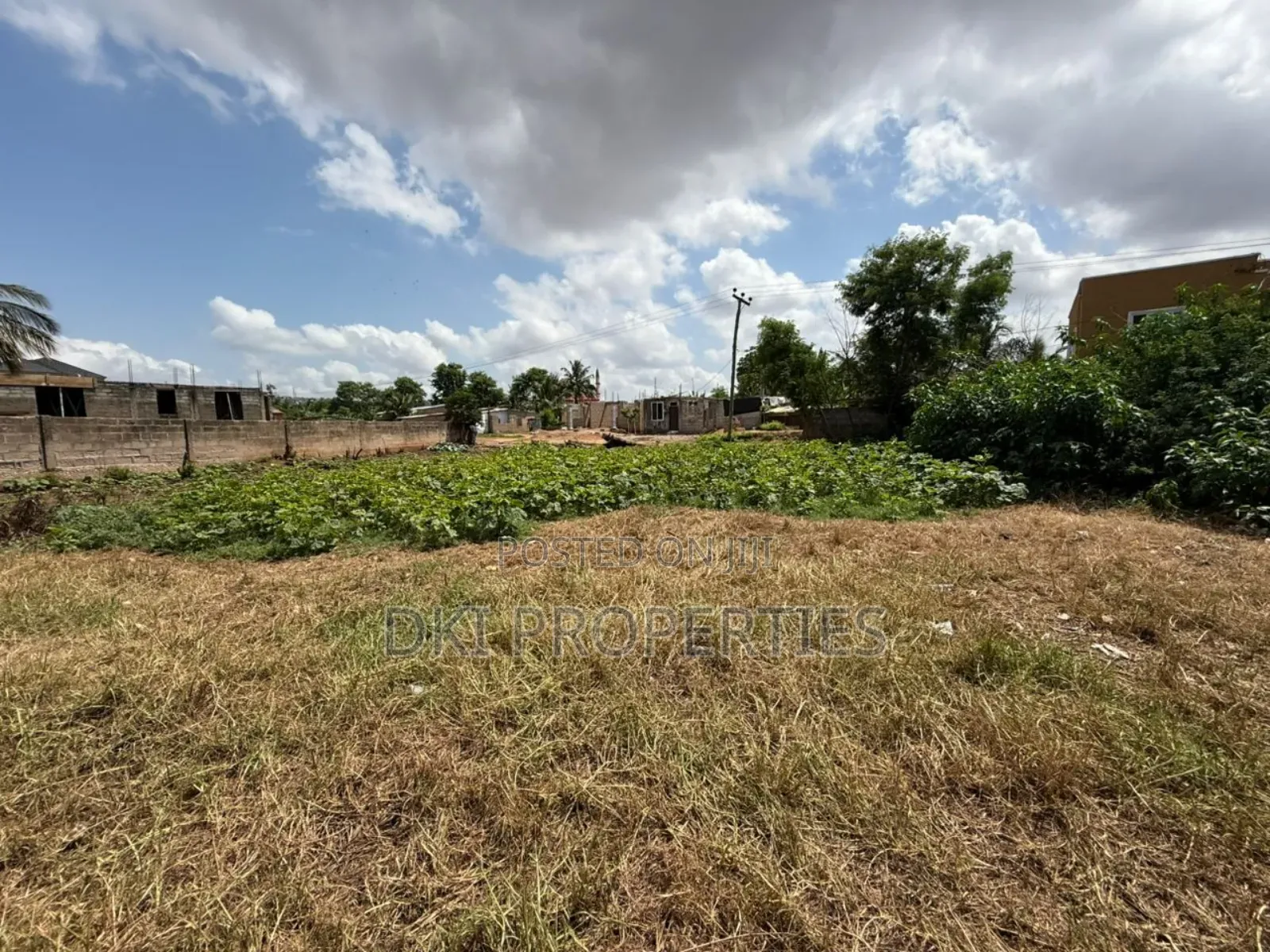 Roadside Land at Tesano for Sale