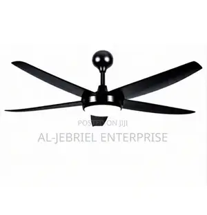 Modern Black Ceiling Fan