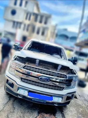 2017-2020 Ford F-150 Windscreen Available