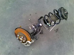 Front Shock and Hub Nissan Juke 2012, 2013, 2015, 2017, 2018