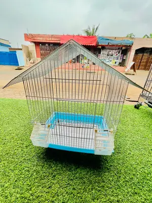 House Like Parrot Cage