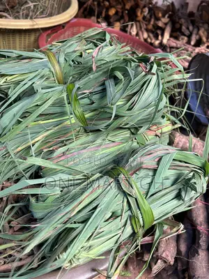 Fresh Lemongrass Leaves