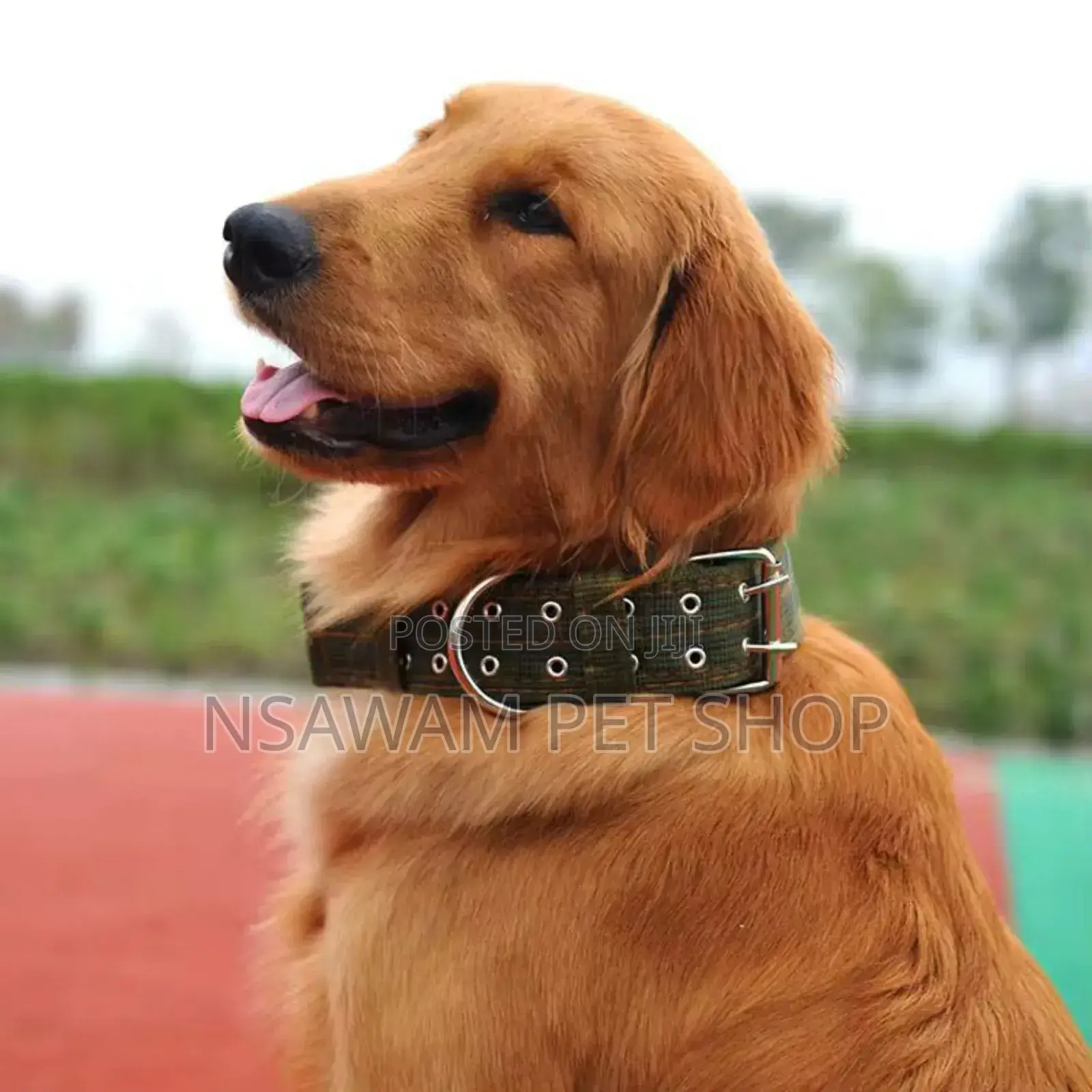 Nylon Collar