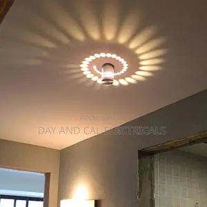 Wall Ceiling Scone Light (1 Color)