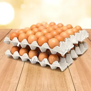 Fresh Eggs for Sale at Wholesale