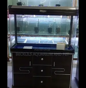 Aquarium Fish Tank
