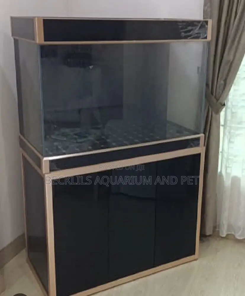 5 Feet Aquarium Fish Tank