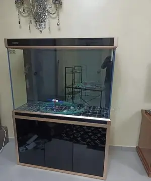 5 Feet Aquarium Fish Tank