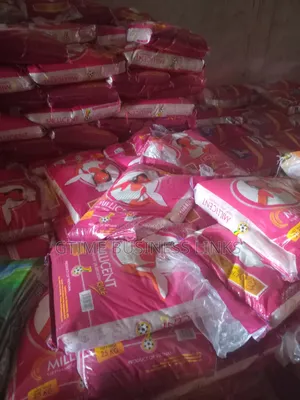 5x5kg And 5x4.5kg Rice (Cindy Millicent Dynasty Abena