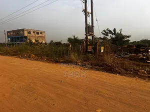 Roadside Land at Doryumu for Sale