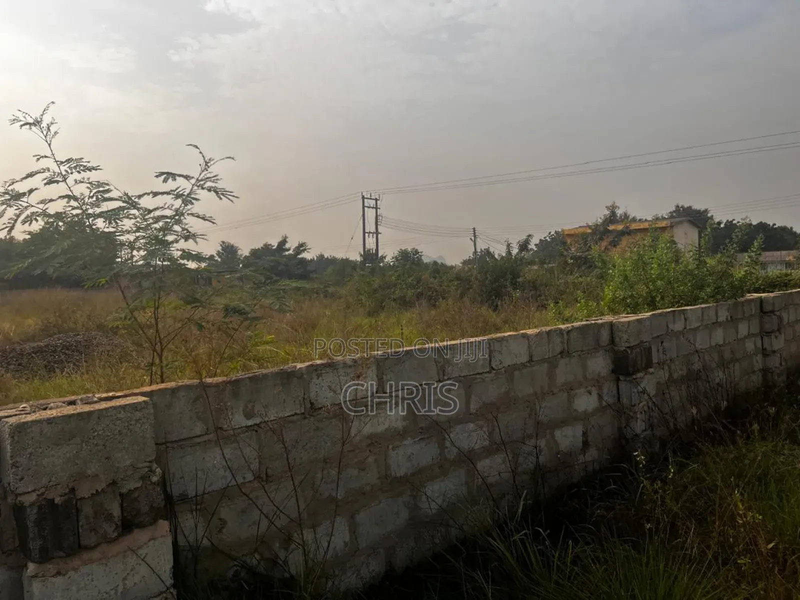 Roadside Land at Doryumu for Sale