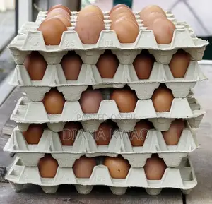 Farm Fresh Organic Eggs