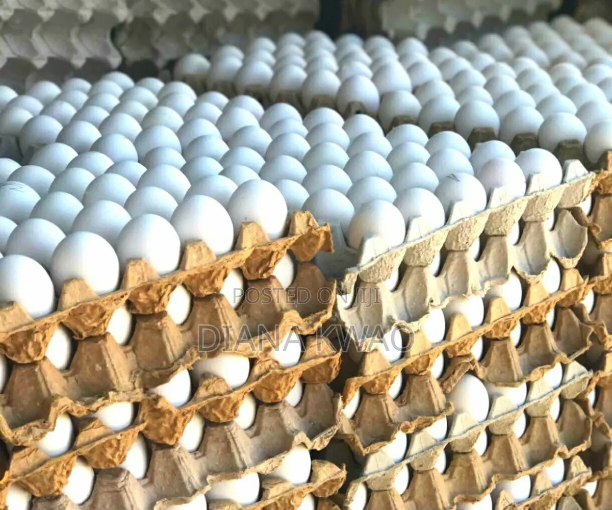 Farm Fresh Organic Eggs