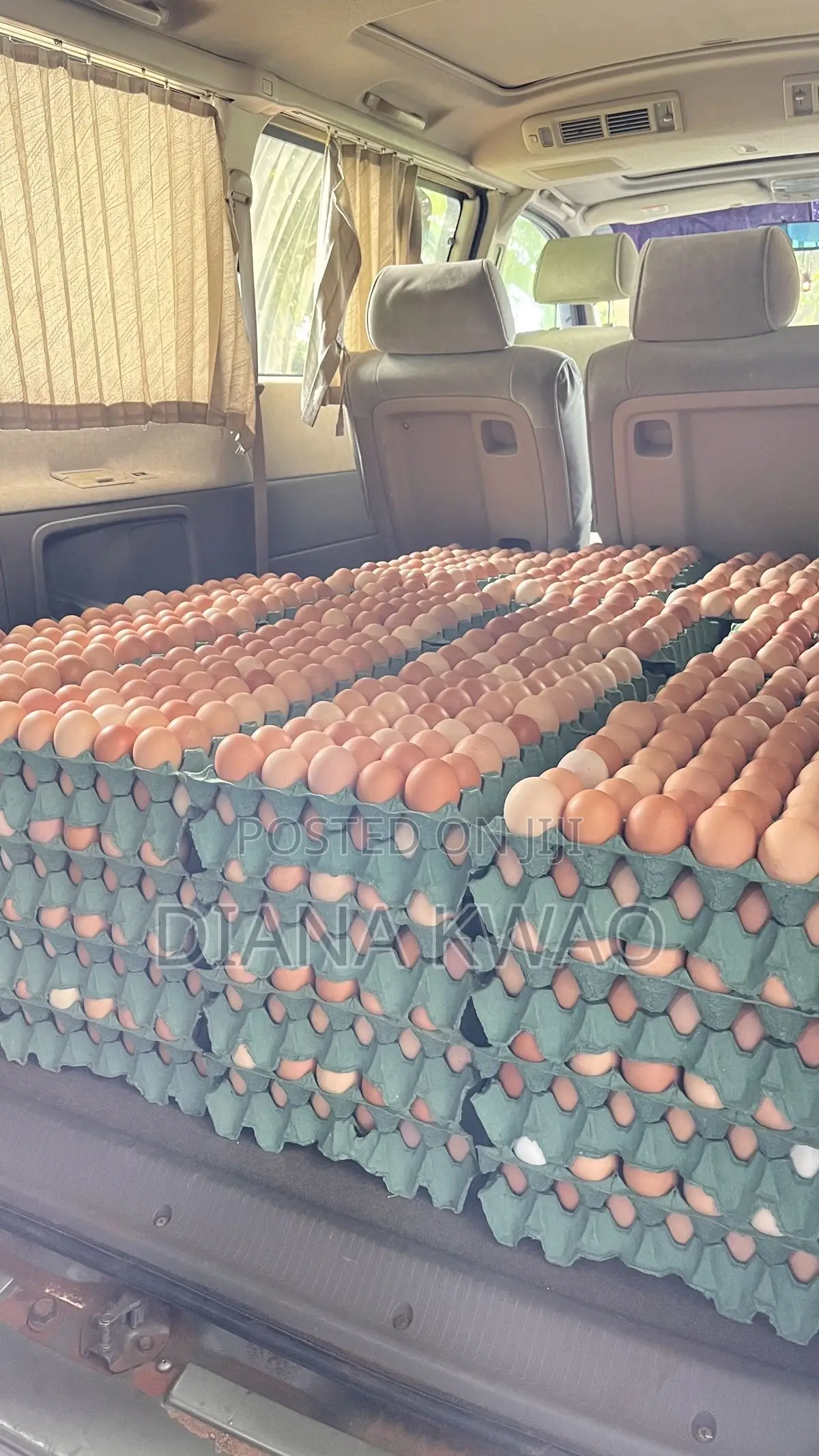 Farm Fresh Organic Eggs