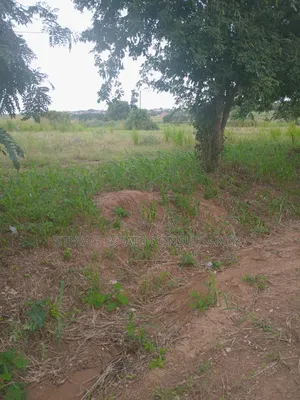 Aalpha Properties Land for Sale at Kasoa Akraman