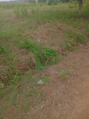Aalpha Properties Land for Sale at Kasoa Akraman