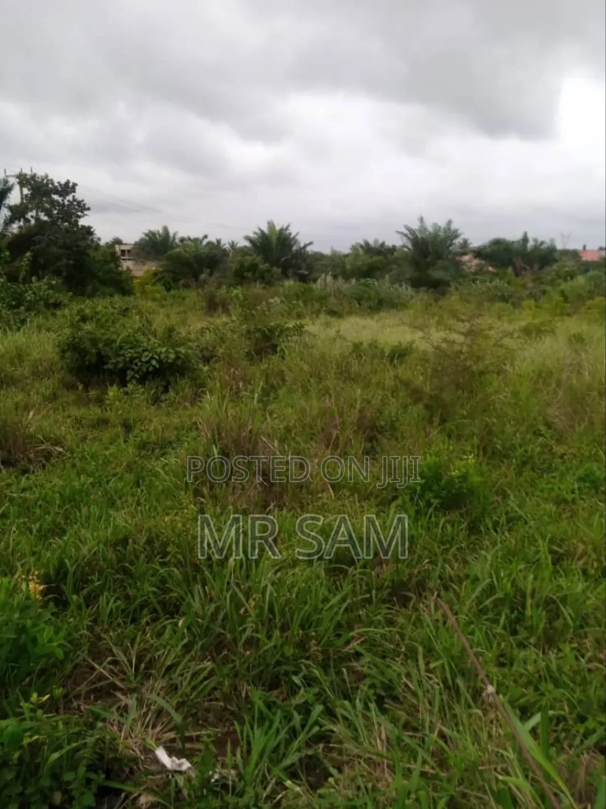 6plot for Sale at Kasoa Ofankor Main Road