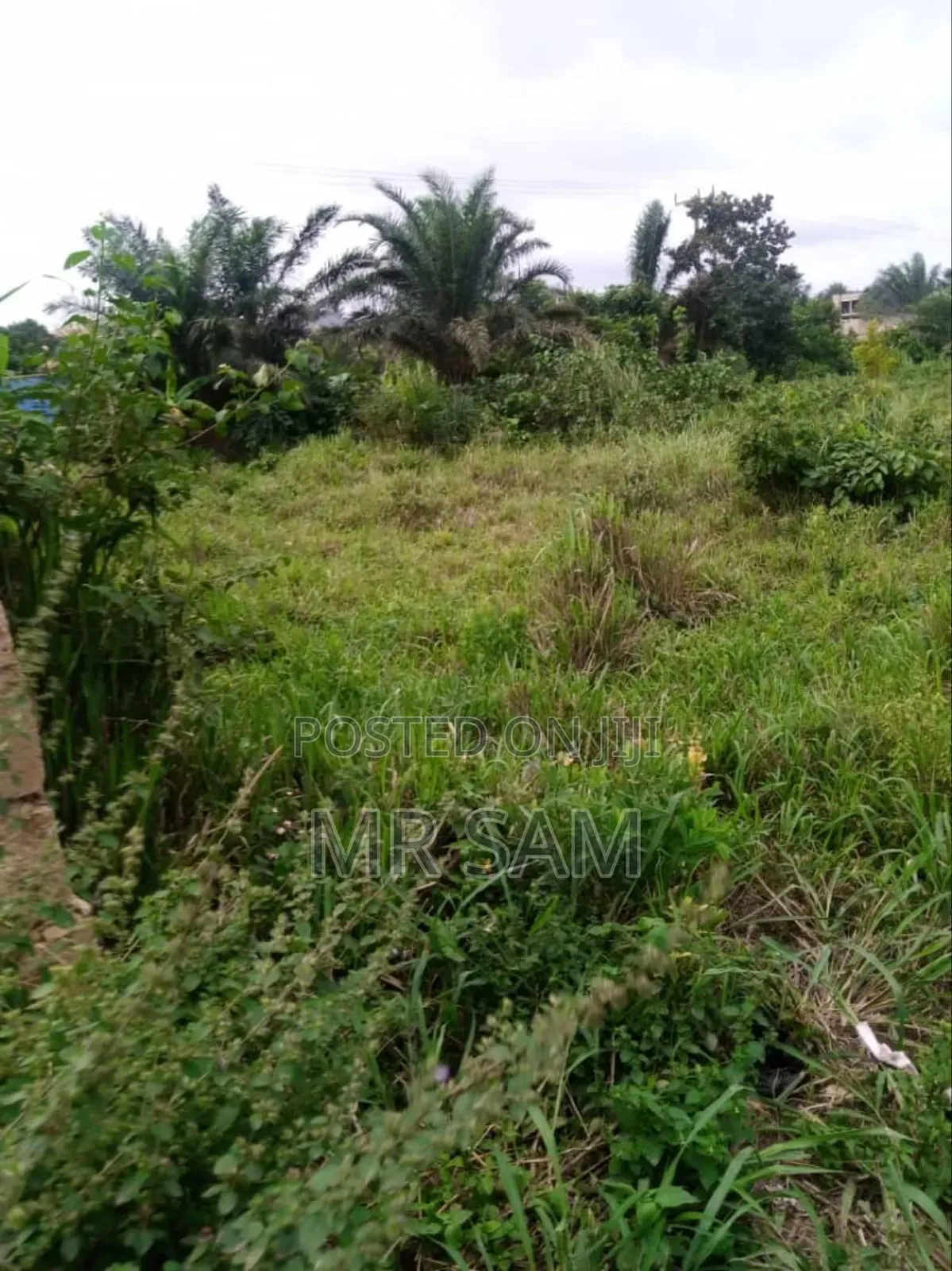 6plot for Sale at Kasoa Ofankor Main Road