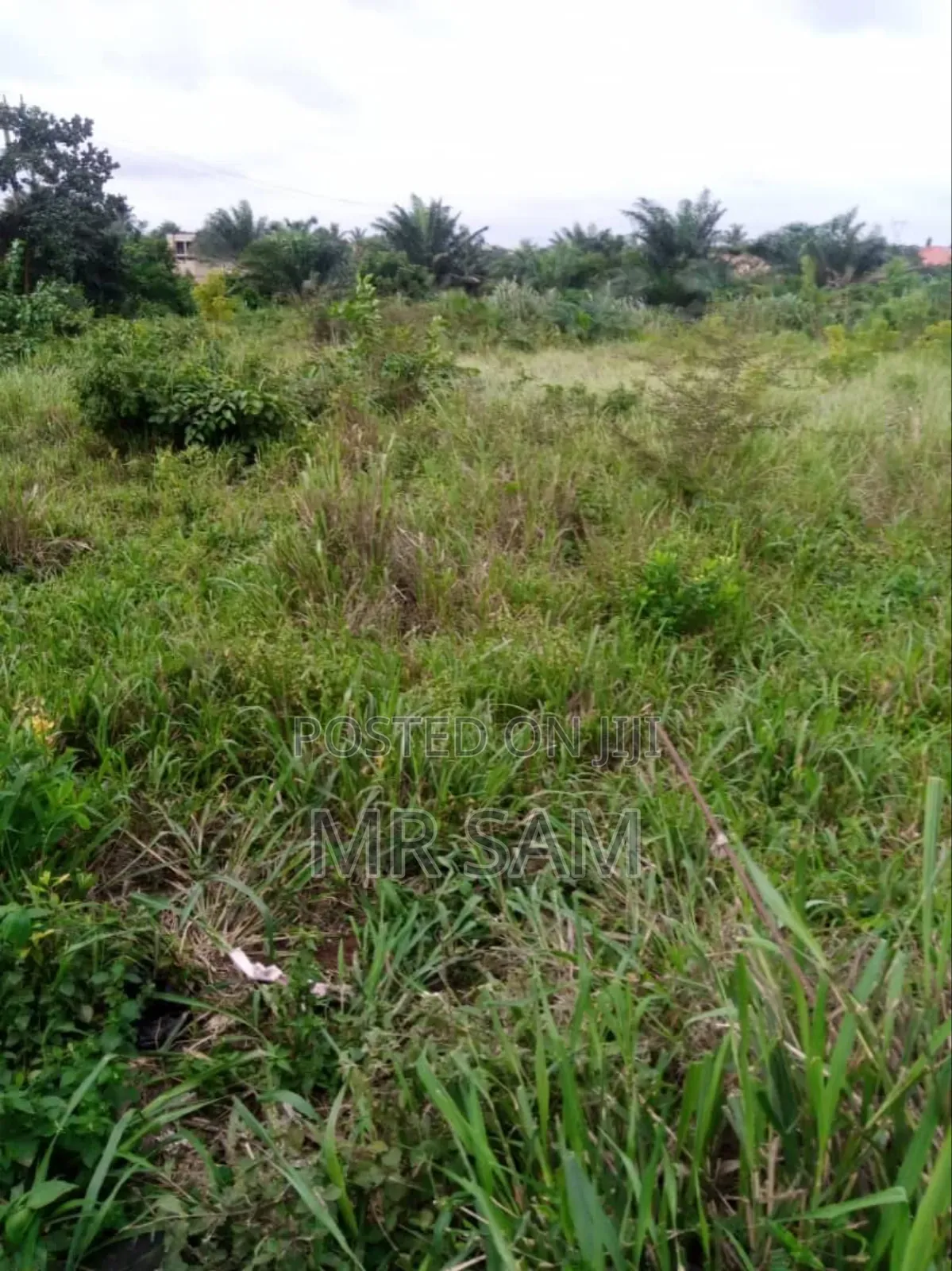 6plot for Sale at Kasoa Ofankor Main Road