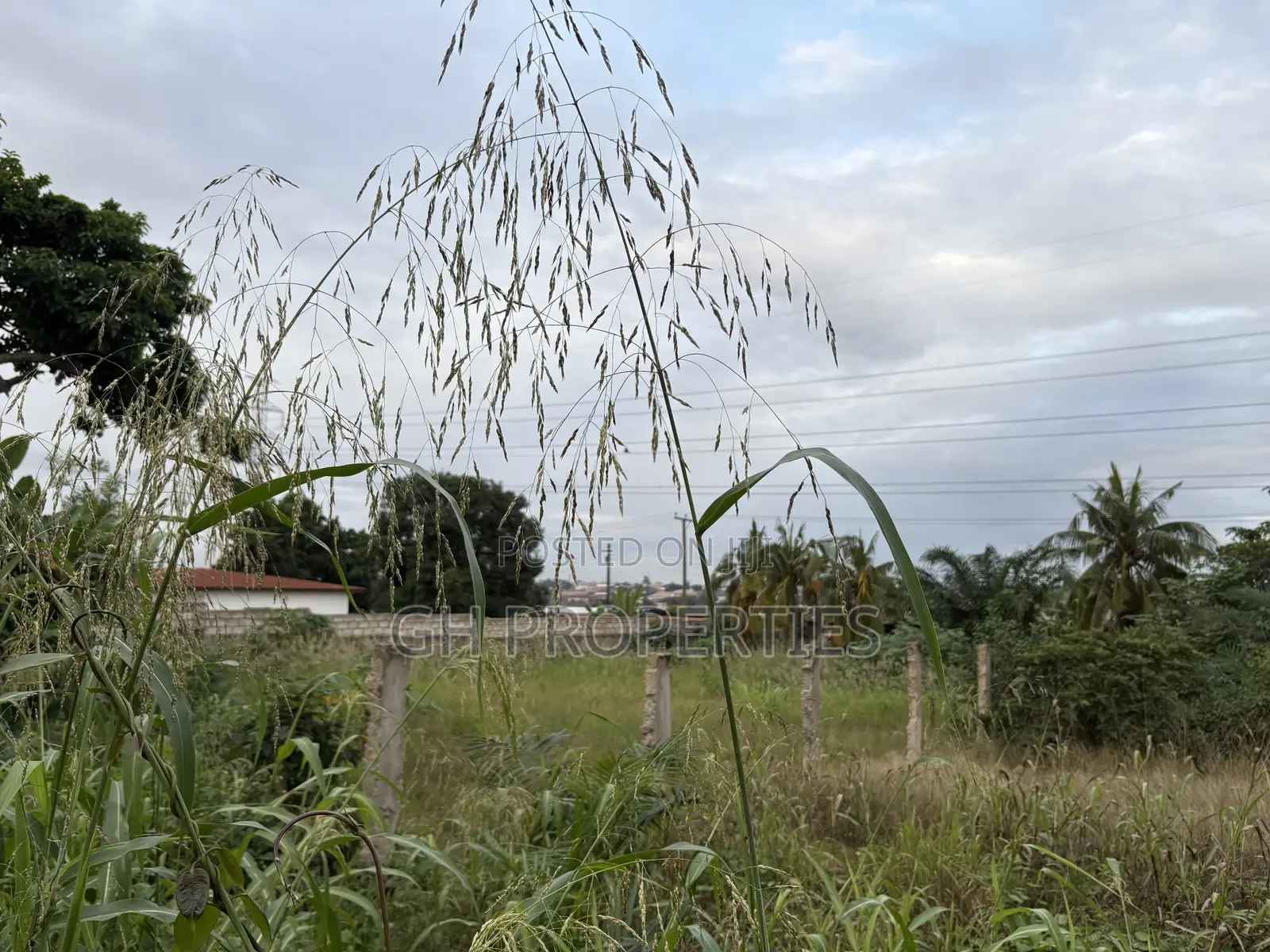 Three Plots for Sale at Ahodwo.