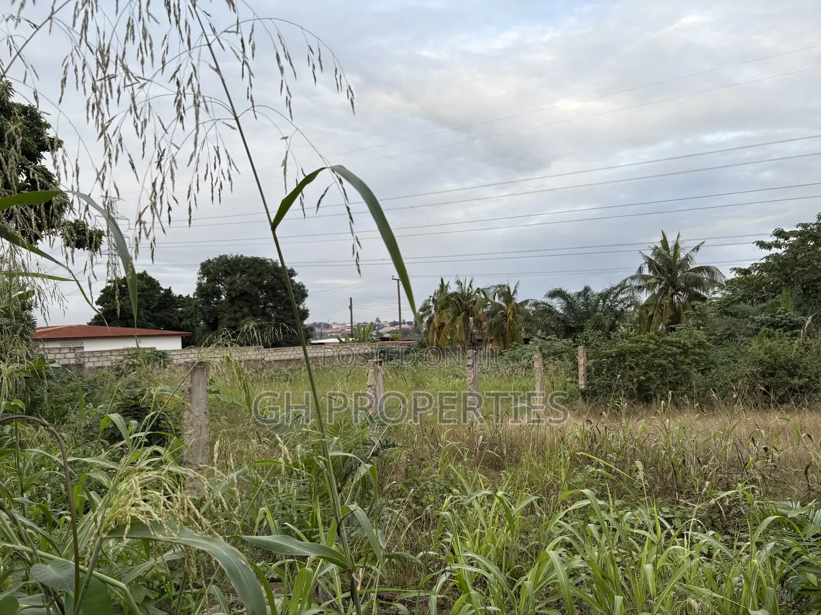 Three Plots for Sale at Ahodwo.