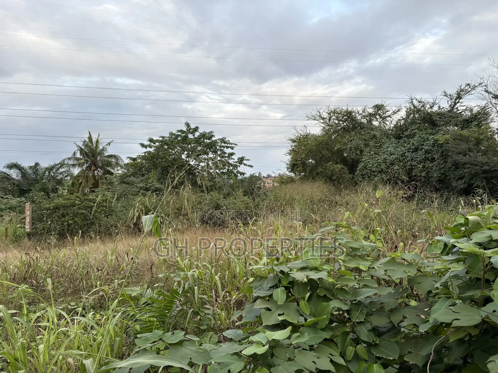 Three Plots for Sale at Ahodwo.