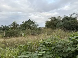 Three Plots for Sale at Ahodwo.