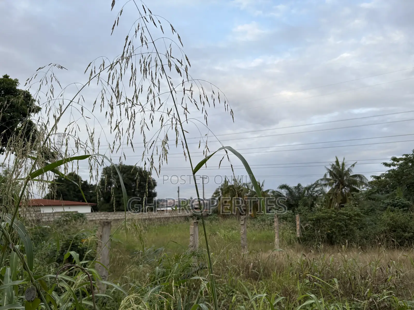Three Plots for Sale at Ahodwo.