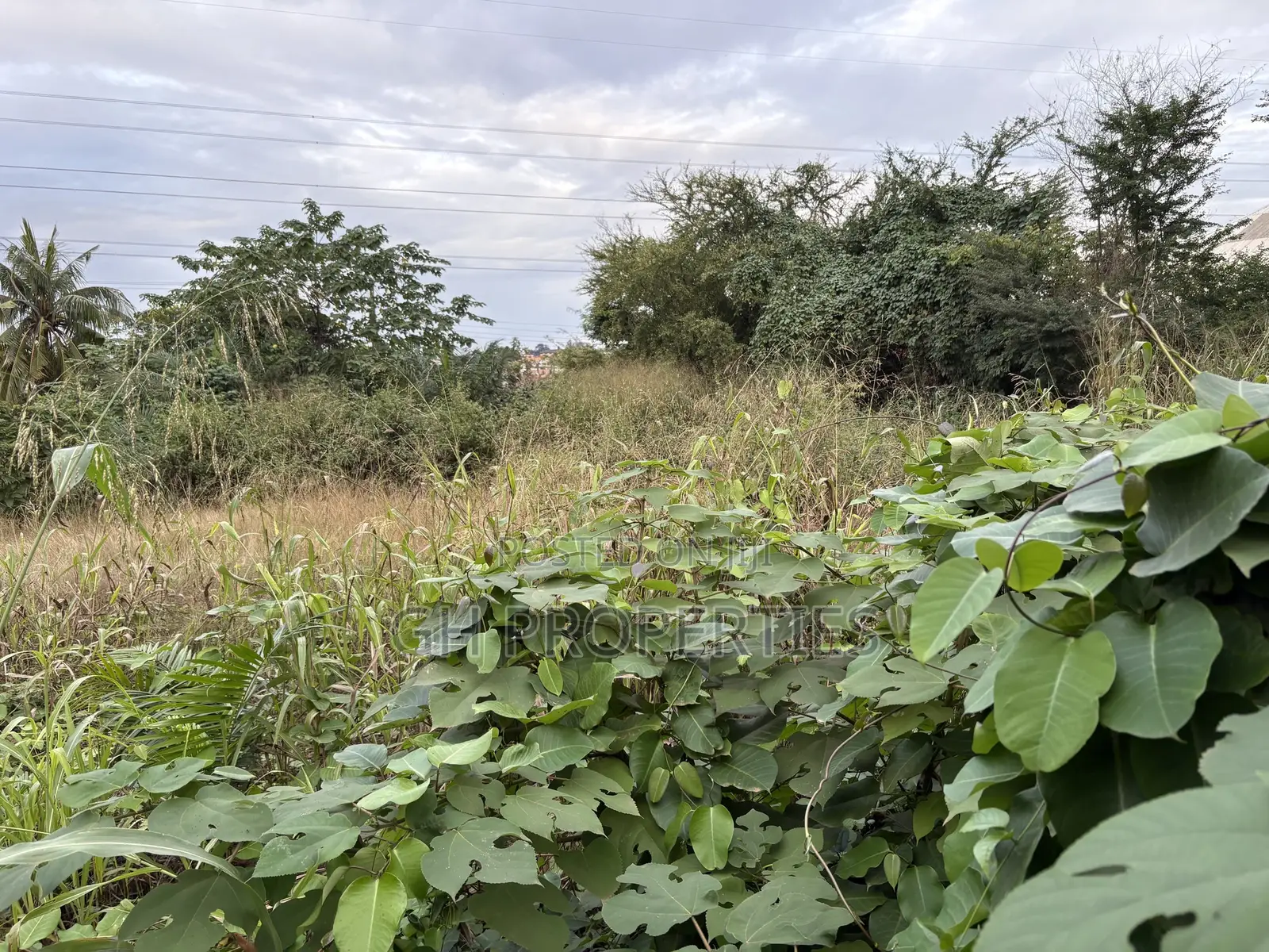 Three Plots for Sale at Ahodwo.