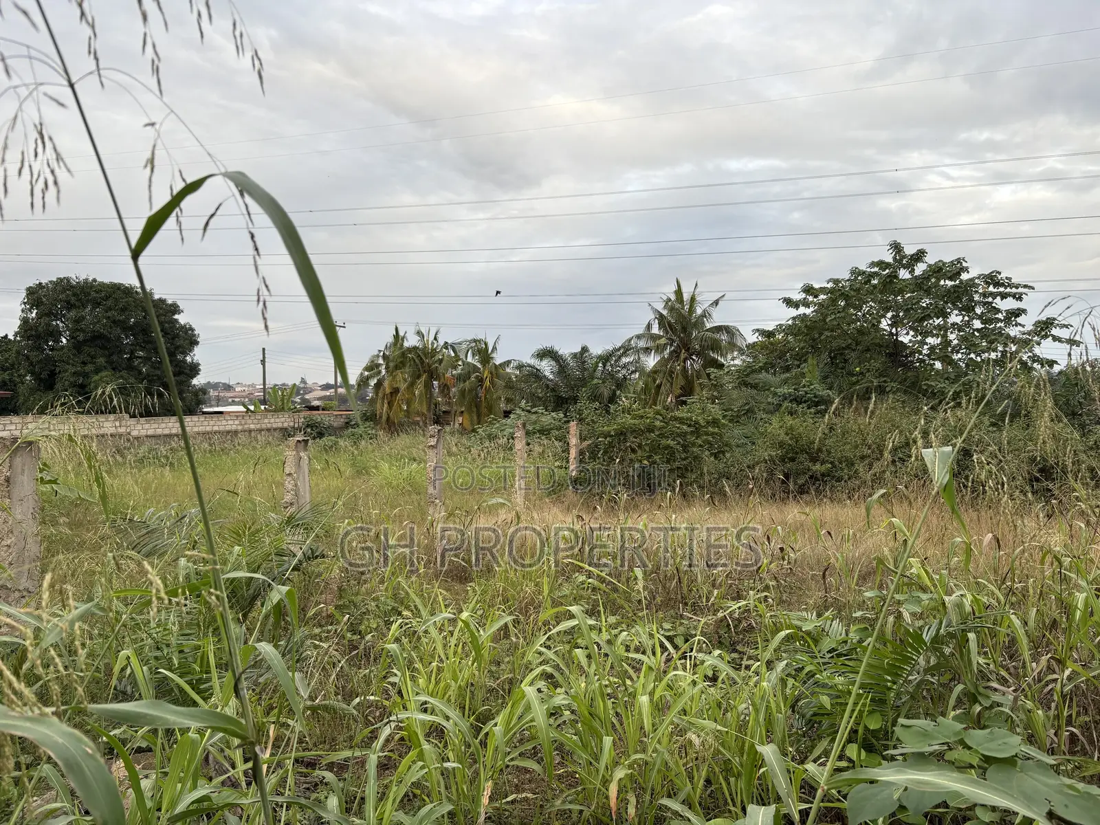 Three Plots for Sale at Ahodwo.