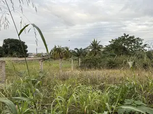 Three Plots for Sale at Ahodwo.